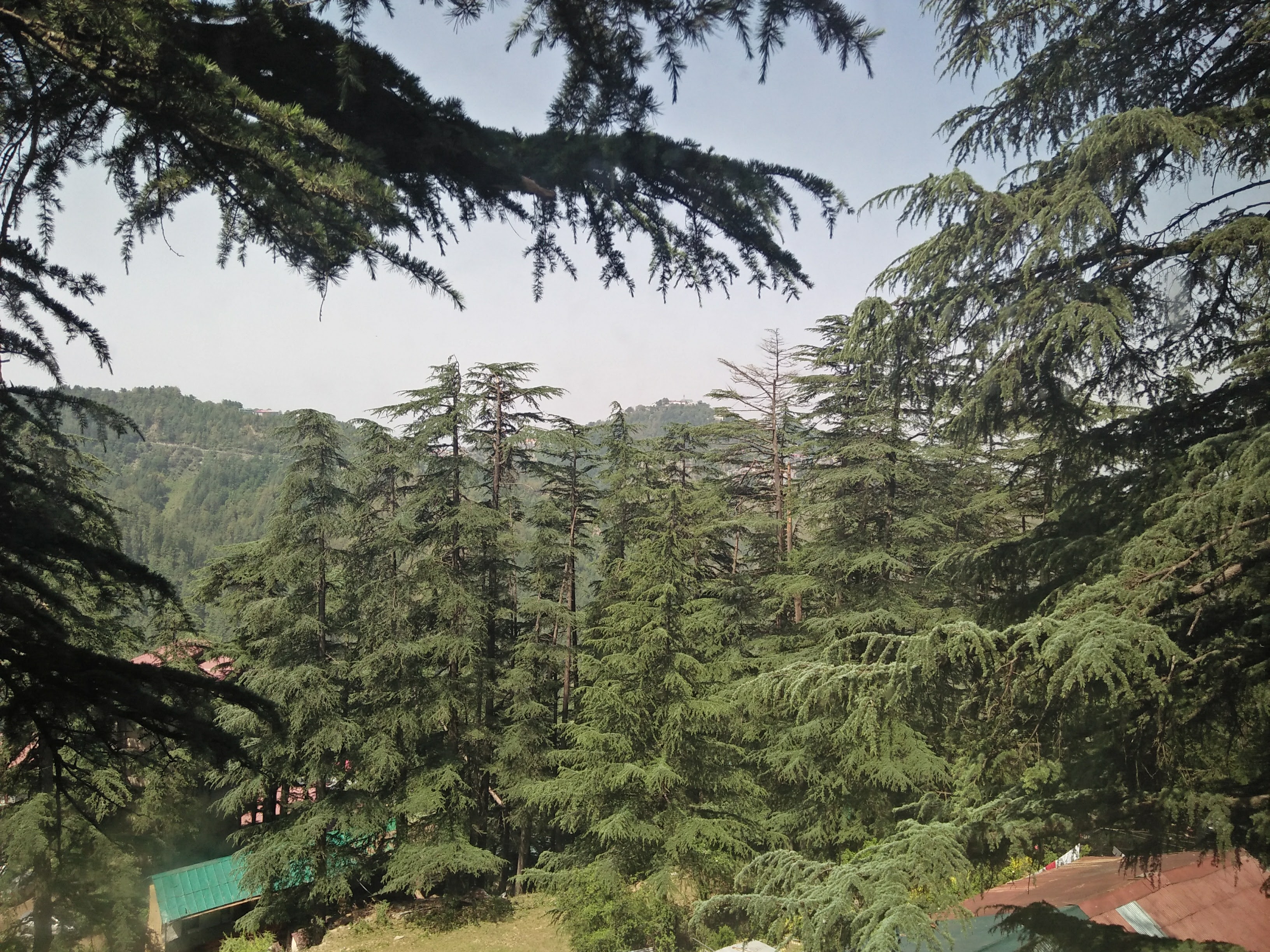 Shimla - Manali- Kullu